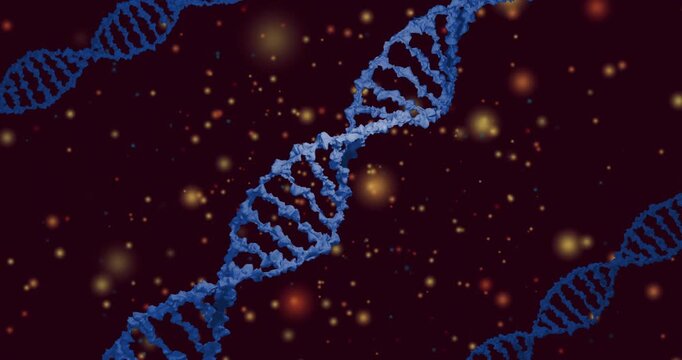 On load, 9x7 DNA helix grid shifting and rotating, revealing variants to showcase design options