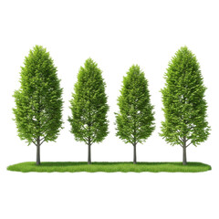 Fototapeta premium Four green trees isolated on transparent background