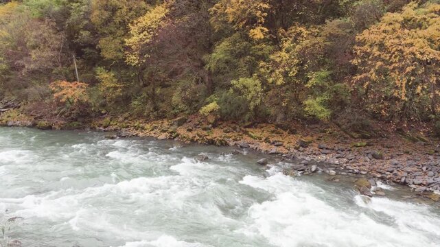 The clear stream rushes through the valley with colorful autumn forest in Naizigou valley, Sichuan, China. 4k slow motion footage b roll shot travel concept.