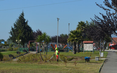 Municipal Worker Watering Young Trees in a Modern Urban Residential Area