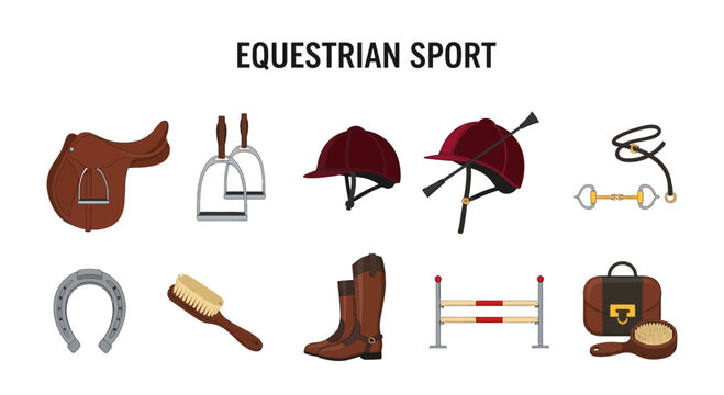 An illustration showing equestrian sport equipment including a saddle helmet boots and brushes
