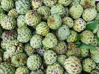 Fototapeta premium Fresh green custard apples (srikaya) at a market stall, ready for sale. Healthy tropical fruit background. 