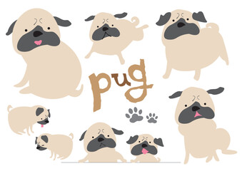 Fototapeta premium Set of cute fawn pug dog characters in various poses, flat vector illustration