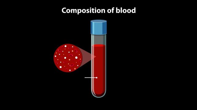Medical Animation Explaining the Composition of Human Blood in Test Tubes