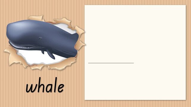 Educational Alphabet Animation for Letter W with Whale Illustration