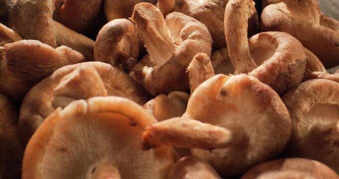 Richly Textured Shiitake Mushrooms Create Appetizing Visual Appeal