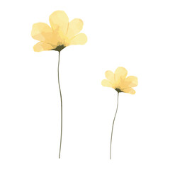 水彩風の黄色い花のデザイン｜フラワー・植物・春・ナチュラル装飾