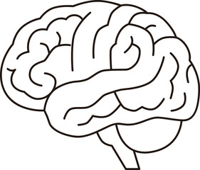 脳のイラスト
