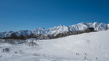 白馬岩岳スノーフィールド　ゲレンデ風景