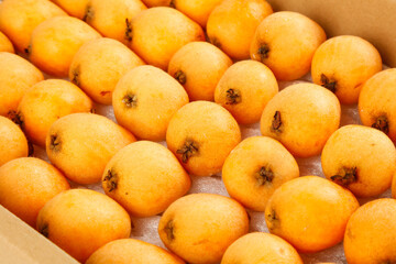 Fresh Golden Loquats in Wooden Crate - Sweet Tropical Fruit Display
