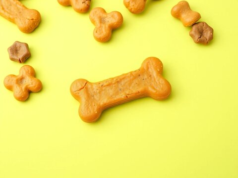 A delicious and nutritious dog biscuit in the iconic bone shape, a perfect reward for good behavior,  natural,  organic