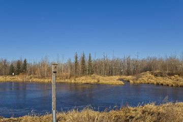 Pylypow on a Sunny Autumn Day