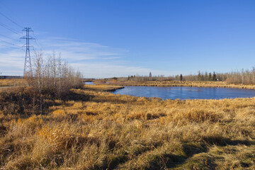 Pylypow on a Sunny Autumn Day