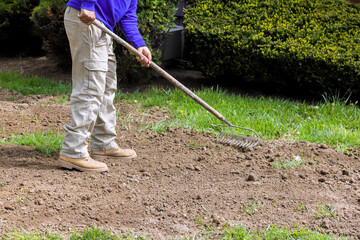 Worker works at garden using rake to smooth soil for planting new grass in neighborhood.