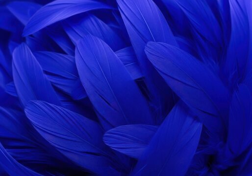 Vibrant blue feathers densely packed together in a mesmerizing pattern and texture
