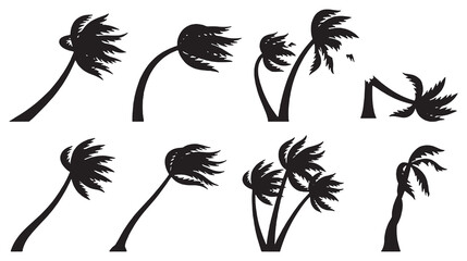 Collection of silhouette illustrations of palm trees bending and swaying in strong winds, representing a storm or hurricane. © Riki