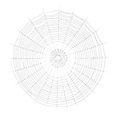 Fototapeta premium Abstract black and white spider web pattern