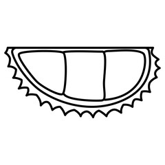 durian illustration