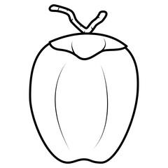 coconut illustration