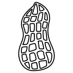 Peanut Illustration