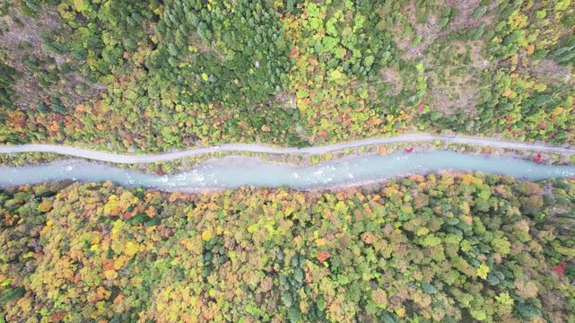 Drone view of road and stream in valley with colorful autumn forest in mountain. 4k real time footage b roll shot travel concept