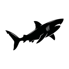 Obraz premium shark vector illustration