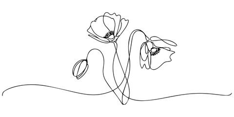 Elegant single line art of beautiful flowers blossoming on a white background, Poppy flowers Continuous line drawing. Minimalist modern art, hand draw one continuous line art Poppy flowers, Elegant © DESIGN LINE