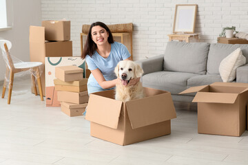 Fototapeta premium Young happy woman and cute Labrador dog with boxes on moving day sitting at home