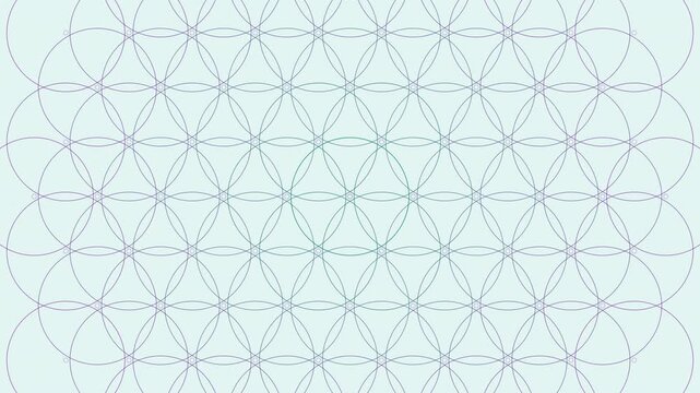 Seamless 4K UHD minimalist 2D Flower of Life grid background. Symmetric overlapping circles expand and contract in a gentle rhythmic breathing motion, perfect for frequency healing and yoga apps.