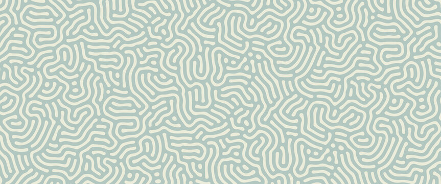 Modern Sage Green Organic Turing Pattern Background. A sophisticated vector illustration featuring a seamless-style maze of fluid, hand-drawn lines in soft muted green.