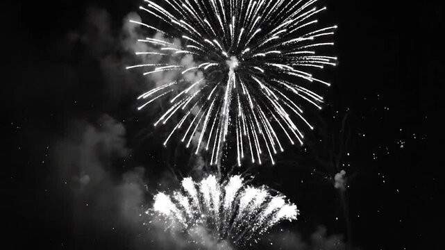 Bright fireworks explode against the dark night sky, creating a dazzling