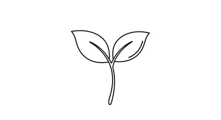 Simple line drawing of a young plant sprout with two leaves. © S.Stock