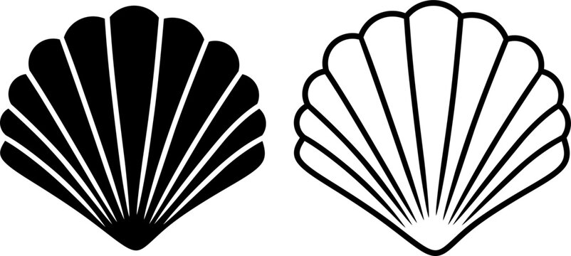 Black and White Scallop Shell Illustration