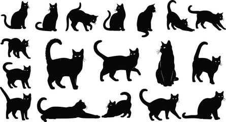 Silhouettes of eighteen cats in diverse poses, sitting, walking, stretching, crouching, playing, black and white feline vector illustration art © MSTIRIN
