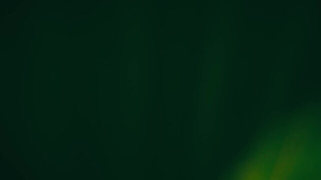 Slow motion ground-level push through young corn plants. Sunlit green leaves fill the frame, revealing rows of maize stretching into the background.