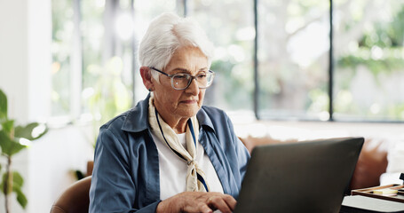 Old woman, laptop and typing in home with review for finance, budget or glasses in living room....
