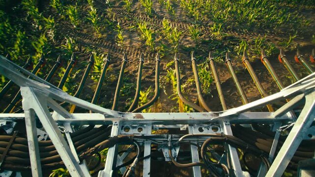 Top-down locked off shot of a slurry injector boom driving through a cornfield. Golden sunlight illuminates the injector tubes and metal frame above young corn rows.
