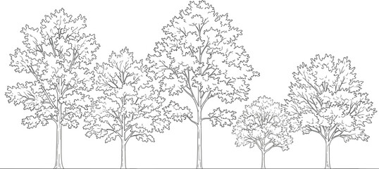 A group of seven detailed line trees with branches and leaves on a plain background line branches © Montaha,, Creatives