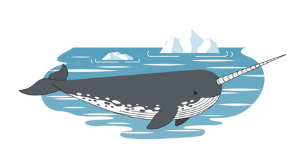 Narwhal Whale with Tusk Swimming in Arctic Ocean Iceberg Water © jas