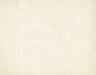 Obraz premium Blank Old Paper Sheet Texture with Natural Fibers and Subtle Stains