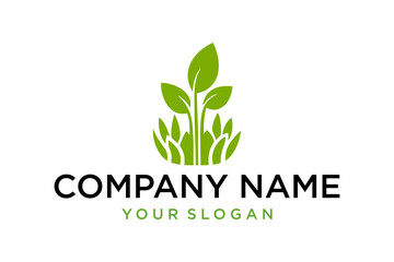 Green Plant Leaf Sprout Logo Design for Eco-Friendly Business and Natural Product Branding