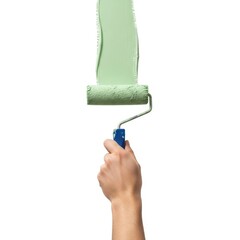 Person painting a wall with a green roller brush and blue handle isolated on white background