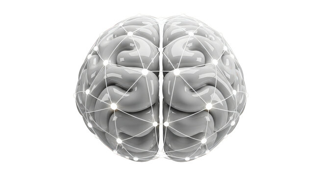 Detailed human brain illustration with visible hemispheres and cerebral cortex isolated on transparent background