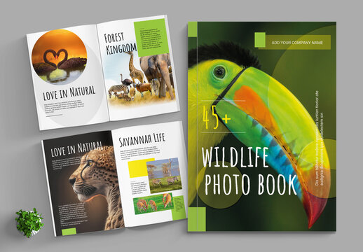 Wild Animals Nature Photo Book