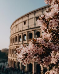 Obraz premium Blossom View of Ancient Colosseum Under Clear Blue Sky