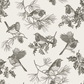 Seamless winter pattern with robins on branches. Background with birds and evergreens: ilex, cypress, pine, pine cones, ivy. Black and white.