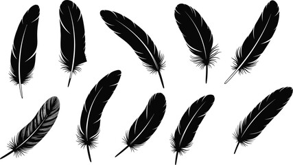 feather, feathers, bird feather, plume, quill, feather icon, feather set, silhouette, nature, wing, soft, decorative, boho, tribal, vintage, illustration, design, tattoo, vector, collection © Its Marjia's World