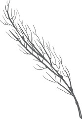 Fototapeta premium Plant twig black drawing. Winter plant decoration
