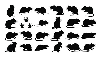 Collection of cat and mouse silhouettes in various poses © MehediHasan