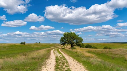 Fototapeta premium Country Road Through Green Landscape Under Bright Blue Sky with Fluffy Clouds on a Beautiful Day in Summer Nature Scene